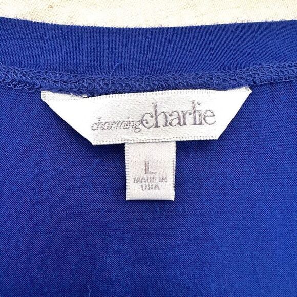 Charming Charlie Surplice Long Sleeve Jersey Knit Faux Wrap Dress Blue Large - Picture 4 of 5
